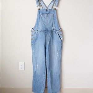 Articles of Society overalls